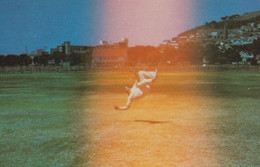 Catch From Heaven 1970s Rare Cricket Photography Illusion Postcard - Cricket