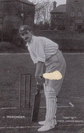 James Iremonger English Cricket Cricketer International Player Antique Postcard - Cricket