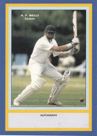 AP Wells Sussex RARE Limited Edition Vintage Cricket Trading Photo Card - Críquet