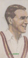 KV Andrew Northamptonshire Cricket Team Player Antique Cigarette Card - Cricket