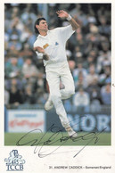 Andrew Caddick Classic Somerset Club Cricket Hand Signed Card Photo Postcard - Críquet