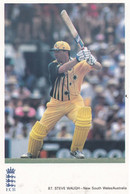 Steve Waugh Australia Cricket Team Classic Card Postcard - Cricket