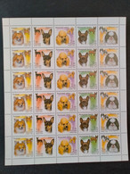 RUSSIA  MNH (**)2000 Decorative Dogs  Mi837-841 , Yvert 6485-6489 - Fogli Completi