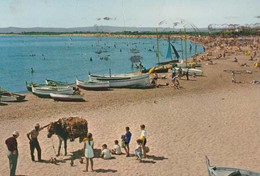 Estartit Fishing Boat Beach Yacht Beach Spanish Postcard - Pêche