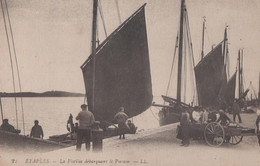 Etaples France French Fishing Poisson Boat Boats With Fish Old French Postcard - Pêche