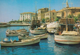 Porec Harbour Croatian Fishing Boats Croatia Postcard - Pêche