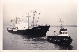 William Lamey Tugboat Tug Ship Vintage Plain Back Postcard Photo - Remorqueurs