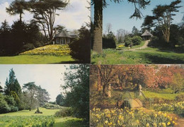 Old Warden Park Swiss Garden Bedfordshire 4x Postcard S - Autres & Non Classés