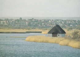 RSPB Radipole Lake Reserve Bedfordshire Postcard - Other & Unclassified