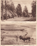 Bison Dukes Avenue Whipsnade Park 2x Old Postcard S - Other & Unclassified
