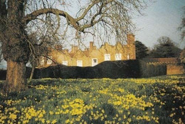 Liscombe Park Buckinghamshire Bucks Easter Postcard - Buckinghamshire