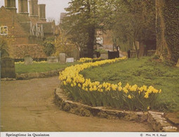 Quainton Buckinghamshire Spring Daffodils Womens Institute Postcard - Buckinghamshire