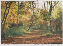 The Ridgeway Path Whiteleaf Buckinghamshire Womens Institute Postcard - Buckinghamshire