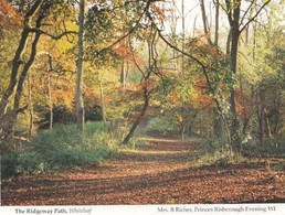 Whiteleaf Forest Woods Bucks Womens Institute Postcard - Buckinghamshire