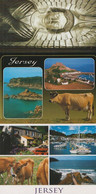 Lalique Glass Angel Jersey Millbrook Cattle 3x Postcard S - Altri & Non Classificati
