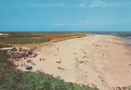 Shell Beach Herm Island Guernsey At Low Time Postcard - Andere & Zonder Classificatie