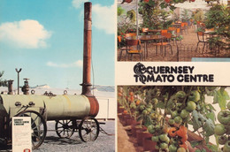 Steam Train Guernsey Tomato Centre Postcard - Other & Unclassified