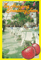 Hanging Strawberry Farm Guernsey Postcard - Otros & Sin Clasificación