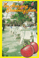 Hanging Strawberry Farm Guernsey Postcard - Sonstige & Ohne Zuordnung