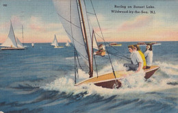 Wildwood By The Sea Sailing USA Boat New Jersey WW2 Postcard - Otros & Sin Clasificación