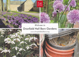 Dronfield Hall Barn Gardens Derby Advertising Postcard - Derbyshire