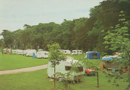 Elvaston Caravan Park Derby Camping Site 1970s Tents Postcard - Derbyshire