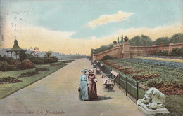 NEWCASTLE ON TYNE  -LEAZES PARK. THE TERRACE - Newcastle-upon-Tyne