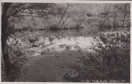 The Weir Dartmoor Angle Bridge Vintage Real Photo Postcard - Dartmoor