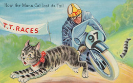 TT Races Isle Of Man How The Manx Cat Lost Its Tail Postcard - Other & Unclassified