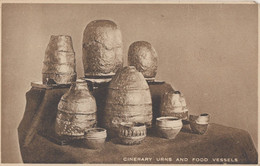 Cinerary Urns & Food Vessels Isle Of Man Manx Pottery Postcard - Other & Unclassified