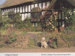 Labrador At Cropston Cottage Village Leicester Womens Institute Rare Postcard - Andere & Zonder Classificatie