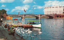 Nottingham Boat Trips 1970s Postcard - Other & Unclassified