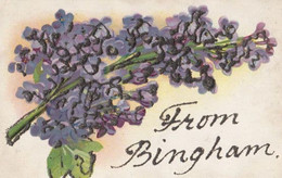 Greetings From BINGHAM Nottingham REAL GLITTER SPARKLE Antique Postcard - Other & Unclassified