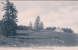 Marchissy VD, Chalet D'alpage, Le Pré De Joux Et Troupeau (290) - Marchissy