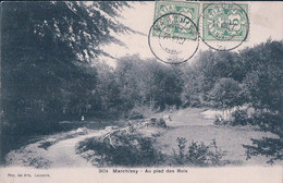 Marchissy VD, Au Pied Des Bois (3624) - Marchissy