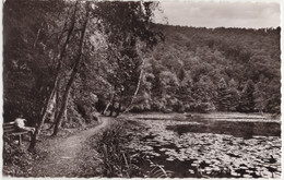 Luftkurort Manderscheid / Eifel. Burgweiher - (Deutschland) - Manderscheid