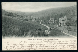 CPA - Carte Postale - Belgique - Vallée De La Meuse - Les Chalets à Tailfer - 1903 (CP21037) - Profondeville