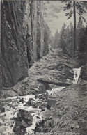 B5181) BAD TAMBACH - Thür. - Diethazer Grund - Röllchen ALT 12.5.1913 - Tambach-Dietharz