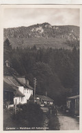 B5191) ZWIESEL - ZWIESLER Waldhaus Mit Falkenstein - Alte Straße HAUS Details Und Altes Fuhrwerk 193. - Zwiesel