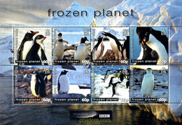 273607 MNH ANTARTIDA BRITANICA 2011 FAUNA-PLANETA HELADO-PINGÜINOS - Unused Stamps