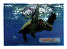 SEYCHELLES / TORTUE (avec BELLE PHILATELIE POISSON) - Seychelles