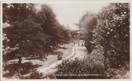 IN ALUM CHINE - BOURNEMOUTH - REAL PHOTOGRAPH - Bournemouth (until 1972)