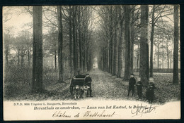 CPA - Carte Postale - Belgique - Herentals En Omstreken - Laan Van Het Kasteel, Te Bouwel - 1903  (CP21067OK) - Herentals