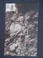 AK RAX Bergsteiger 1930 /// L6335 - Raxgebiet