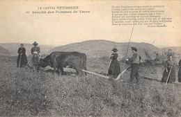 CPA 15 CANTAL RECOLTE DES POMMES DE TERRE / AGRICULTURE - Other & Unclassified