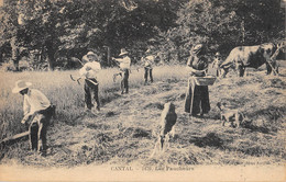 CPA 15 CANTAL LES FAUCHEURS / AGRICULTURE - Otros & Sin Clasificación