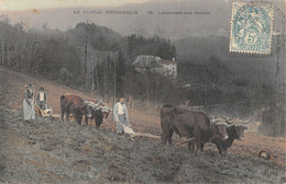 CPA 15 CANTAL LABOUREURS AUX CHAMPS / AGRICULTURE - Other & Unclassified