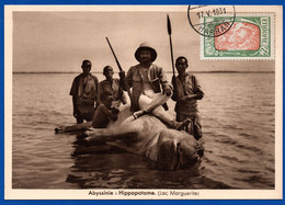 1006.ETHIOPIA 1930'S REAL PICTURE POSTCARD.HIPPOPOTAMUS SC. 131 C.T.O. - Etiopia