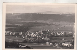 B5220) PURGSTALL - Wunderschöne Alte S/W AK Mit Kirche Straße Häsuer Fabrik Details - Purgstall An Der Erlauf