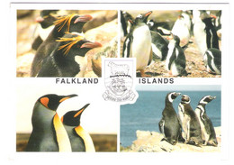 Falkland Islands - Penguin - Pinguin - Nice Stamp Stamps Timbre - Falkland Islands